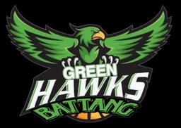 Green Hawks Battang