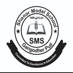 Shahoor Model School