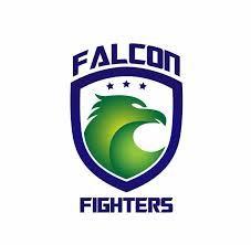 Falcon Fighter