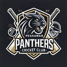 Peshawar Panthers