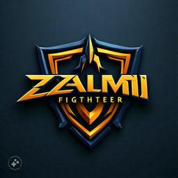 ZALMI FIGHTER