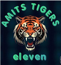 AMITS TIGERS