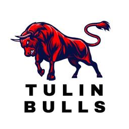 Tulin Bulls