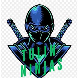 Tulin Ninjas