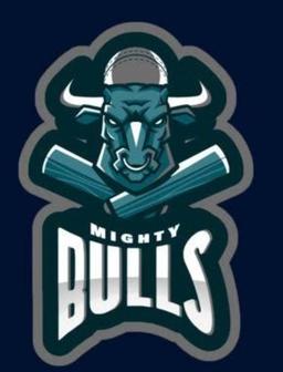 Mighty Bulls