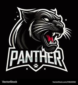 BLACK PANTHERS