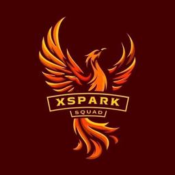 TEAM XSpark