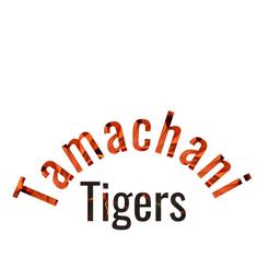 Tamachani Tighers