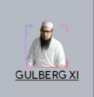 GULBERG XI