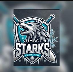 UMBC STARKS