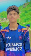 Faizan Faizi
