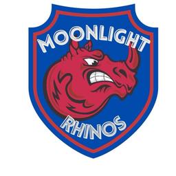 Moonlight Rhinos