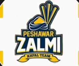 PESHAWAR ZALMI   2022