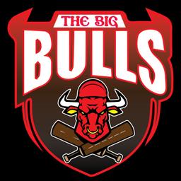 THE BIG BULL