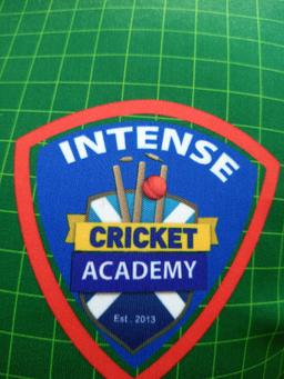 Intense Cricket Academy  Dhaka